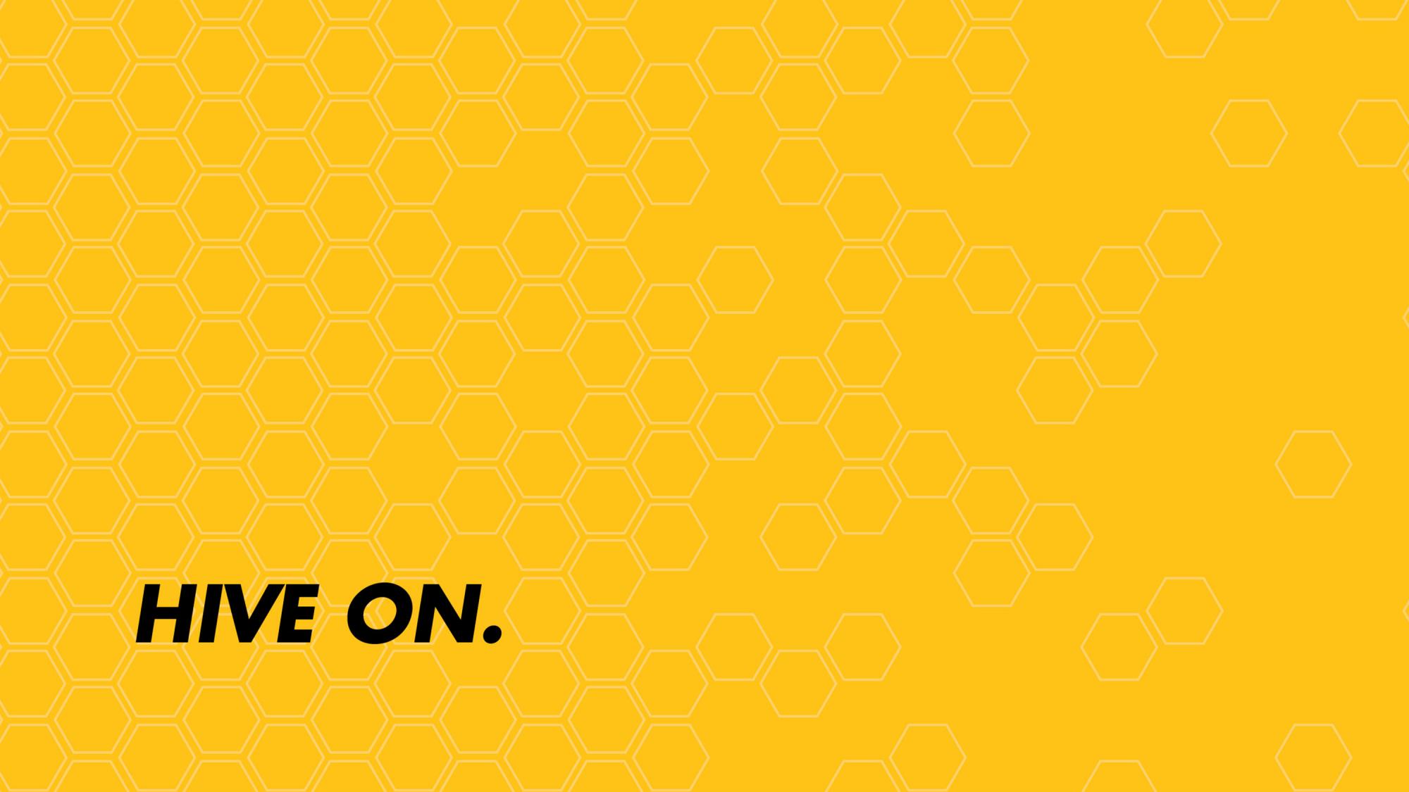 MINT_Aerohive