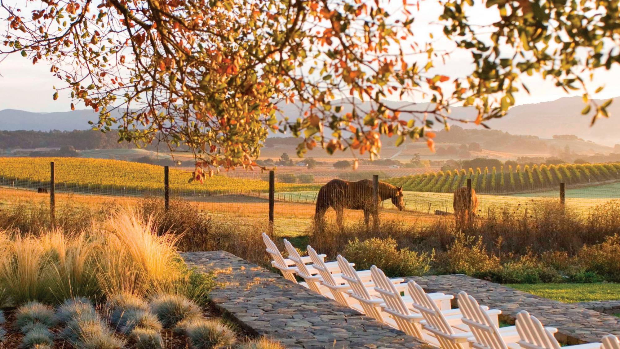 MINT_Orchard Carneros Inn